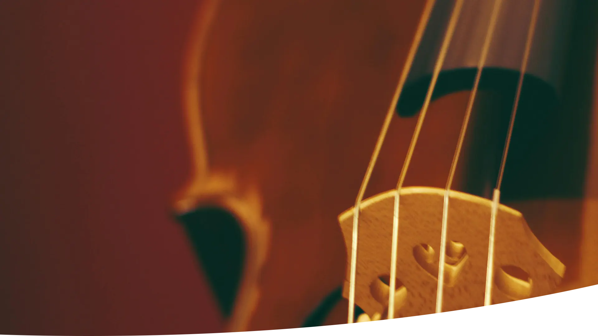 arakozstrings.com